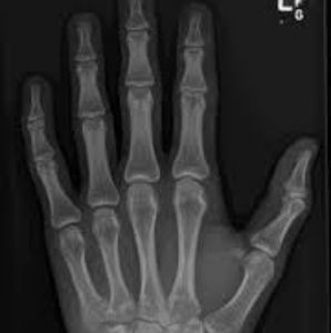 Meet your Posher, William